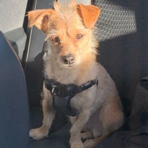 Meet your Posher, Fredy